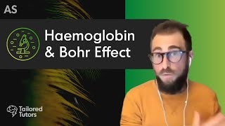 Haemoglobin amp Bohr Effect  A Level Biology Revision  AQA [upl. by Ming]