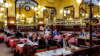 Lunch at Bouillon Chartier Paris [upl. by Anizor]