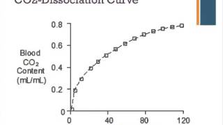 Oxygen and Carbon Dioxide Dissociation Curves [upl. by Gernhard]