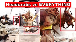 HalfLife Alyx  Headcrabs vs EVERYTHING combines antlions jeff [upl. by Foulk]