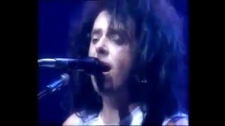 Toto  Without your love live in paris 1990 [upl. by Acired]