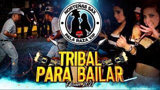 Tribal Para Bailar Edicion 2021  Pala Raza Vip [upl. by Troc]