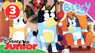 🎄💙 Bluey  Clip Der VerandaMann  Disney Junior [upl. by Eberta]