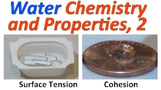 water Part 2 Demonstrations [upl. by Piper]