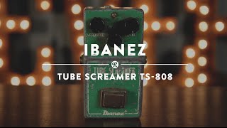 Ibanez TS808 Tube Screamer  Reverb Demo Video [upl. by Truscott]