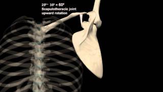 Exercises for osteoarthritis of the shoulder [upl. by Nims131]