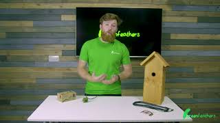 WiFi Bird Box Camera  How Does It Work [upl. by Bevash650]