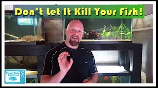 How to Lower Nitrites in an Aquarium [upl. by Onitnerolf]