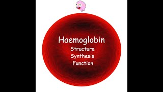 Part 3 Haemoglobin  Structure Synthesis Types and Function [upl. by Kahler]