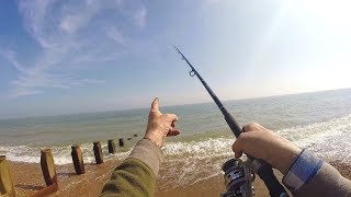 Beach Fishing Tips  Rigs Tips and Tactics for Plaice Fishing Flatfish [upl. by Prader378]