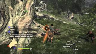 Dragons Dogma Dark Arisen  PC Gameplay 1080p 60FPS  Max Settings [upl. by Ailsa710]