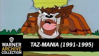 Open  TazMania  Warner Archive [upl. by Ephrayim605]