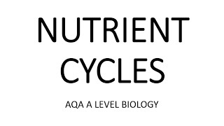 NUTRIENT CYCLES  AQA A LEVEL BIOLOGY  EXAM QUESTIONS RUN THROUGH [upl. by Luigino]