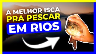 DESCUBRA as 5 MELHORES ISCAS pra PESCAR em RIOS [upl. by Notsgnal452]