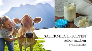 SAUERMILCHTOPFENSAUERRAHM selber machen  Sauermilchprodukte KuhlesAusMilch Rezept2 [upl. by Katt]