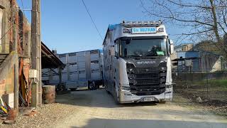 Essai camion Scania 730 S bétaillère Irma [upl. by Arrak66]