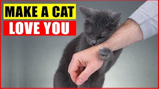 10 Scientific Ways to Get a Cat to Like You [upl. by Innoc]