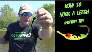 How To Hook a Leech Fishing Tip [upl. by Sibie283]