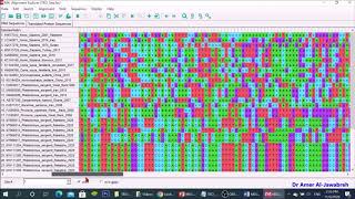 MEGA X How to construct a phylogenetic tree [upl. by Leumhs]