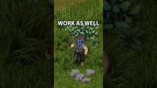 BETTER STONE COLLECTING in BUILD 42 projectzomboid [upl. by Paula657]