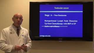 Testicular Torsion  What To Do About This Urologic Emergency [upl. by Leahcim]