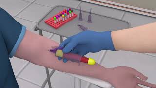 Online Phlebotomy Training Program [upl. by Wesa]