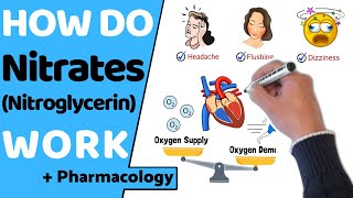 How Do Nitrates Work Nitroglycerin [upl. by Anyk]