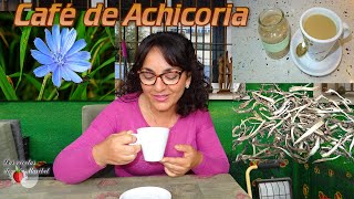 Café Curativo de Achicoria [upl. by Aleel]