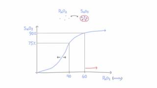 Oxygen hemoglobin dissociation curve [upl. by Nylirek25]