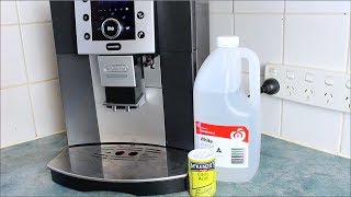 Homemade Coffee Descaler  How to video [upl. by Britteny]