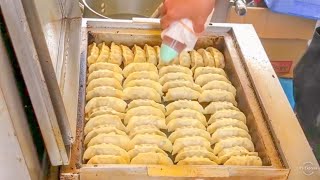 japanese street food  japanese dumplings GYOZA 餃子 [upl. by Horner]