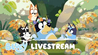 🔴 LIVE Bluey Fun Marathon [upl. by Kamin]