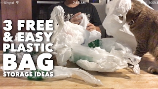 Kitchen Hacks 3 Free amp Easy DIY Plastic Bag Storage Ideas [upl. by Akcinahs87]