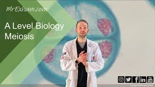 Meiosis and chromosome mutation  A Level Biology [upl. by Yanrahc718]