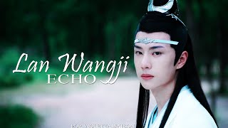 The Untamed 陈情令  Echo MV [upl. by Trow290]