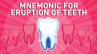 Eruption of Teeth  Mnemonic [upl. by Therron]