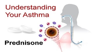 Understanding Your Asthma Part 5 Prednisone [upl. by Llevrac]