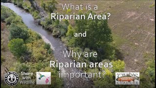 What is a Riparian Area and Why are Riparian Areas Important [upl. by Htaek]