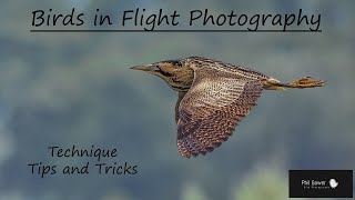 Birds in Flight Photography Techniques Tips and Tricks [upl. by Aruasor]