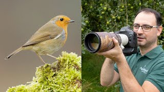 Bird Photography for Beginners 9 Tips with Paul Miguel Photography [upl. by Hareemas]