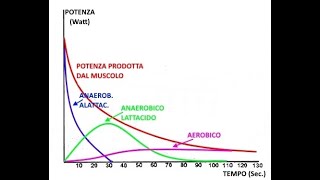 Il SISTEMA ANAEROBICO ALATTACIDO e LATTACIDO [upl. by Swenson]