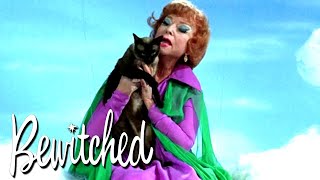 Endora Transforms A Cat Into A Beautiful Woman  Bewitched [upl. by Love]