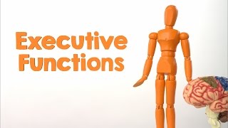 ExecutiveFunction Skills Important Skills for Childhood Development [upl. by Waiter253]