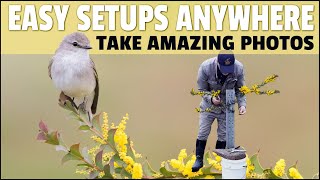 How to Build Setups to Take Fantastic Bird Photos  Step by Step Guide Showing Exactly How I Do It [upl. by Belcher]