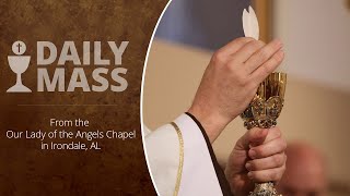 Catholic Daily Mass  Daily TV Mass  November 16 2023 [upl. by Pirri]