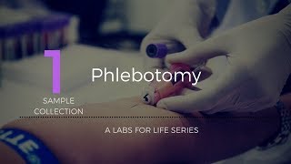 Phlebotomy [upl. by Acinor]