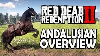 Andalusian Overview  Red Dead Redemption 2 Horses [upl. by Akerley]