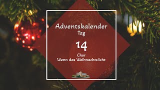 Tag 14  Adventskalender 2022 [upl. by Nynnahs]