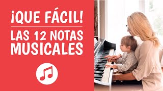 Las 12 NOTAS MUSICALES Explicadas ¡Así de Simple [upl. by Annhoj756]