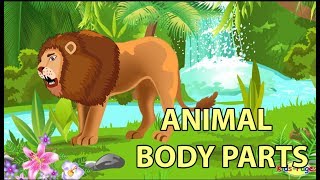 Learn the Animal Body Parts [upl. by Nirtiak]